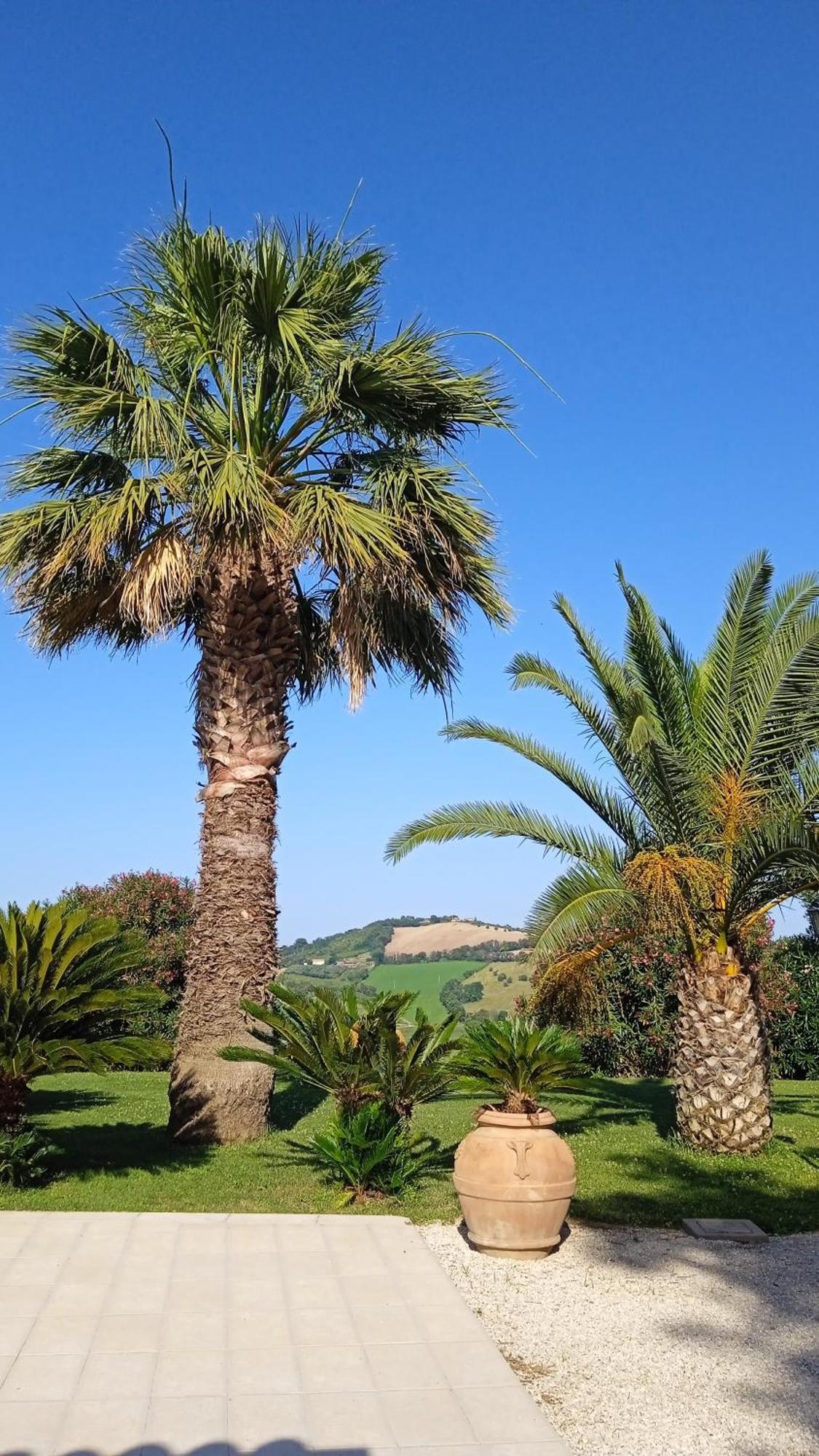 Villa Belvedere Degli Ulivi Osimo Eksteriør billede