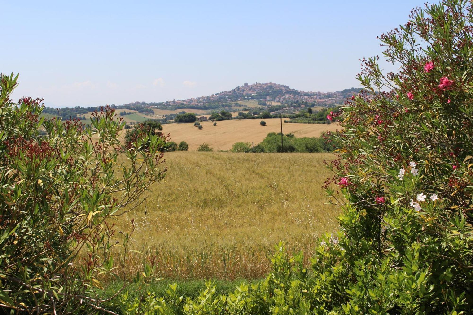 Villa Belvedere Degli Ulivi Osimo Eksteriør billede