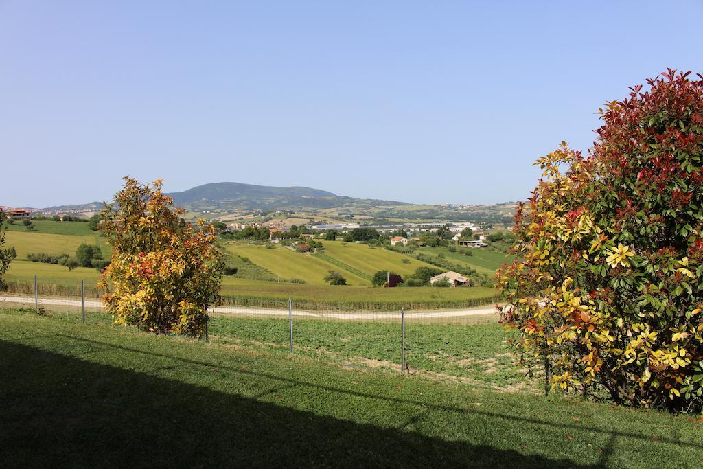Villa Belvedere Degli Ulivi Osimo Eksteriør billede
